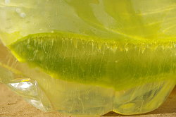 der Bitterstoffe (Aloin) der Bitterstoffe (Aloin)