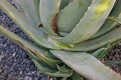 Plug in a few hours Plug in a few hours