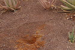 Preparar el suelo Preparar el suelo