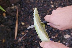 cortar recto cortar recto