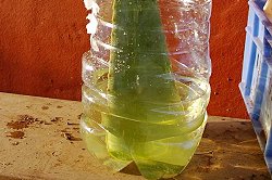 the water